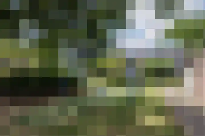 Wilgenhof 25 De Kwakel thumbnail 49