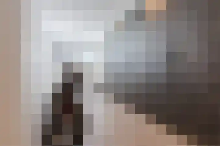 Wilgenhof 25 De Kwakel thumbnail 7