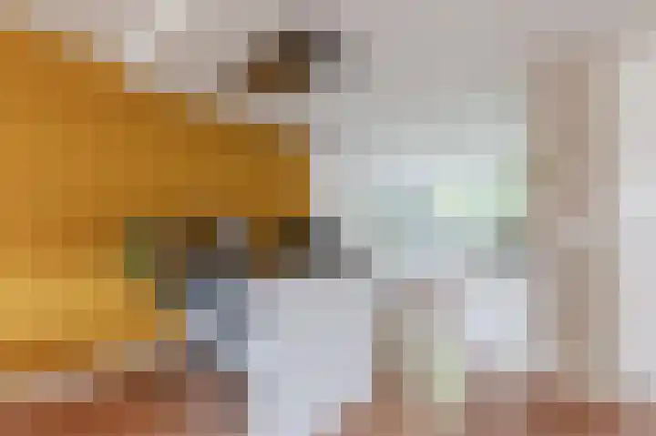 Wilgenhof 25 De Kwakel thumbnail 9