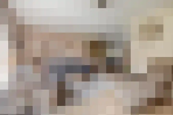 Wilgenhof 250 Papendrecht thumbnail 10