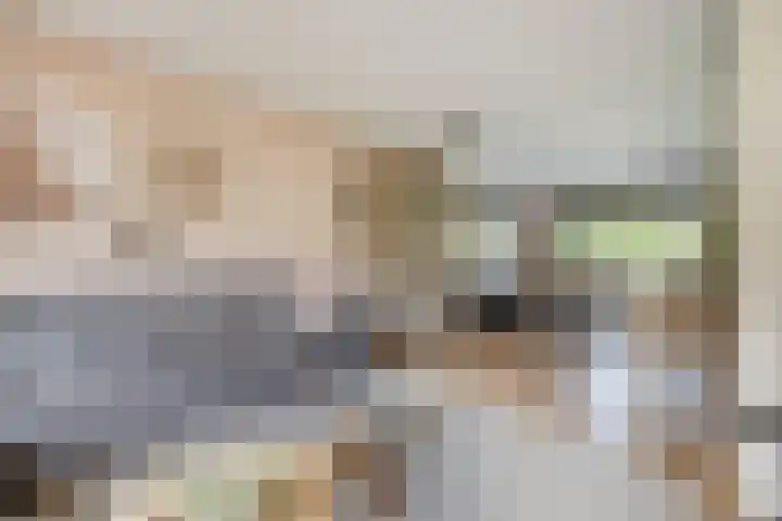 Wilgenhof 250 Papendrecht thumbnail 11