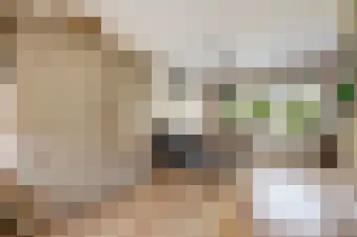 Wilgenhof 250 Papendrecht thumbnail 14