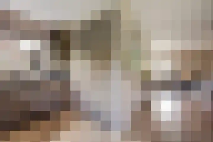 Wilgenhof 250 Papendrecht thumbnail 15