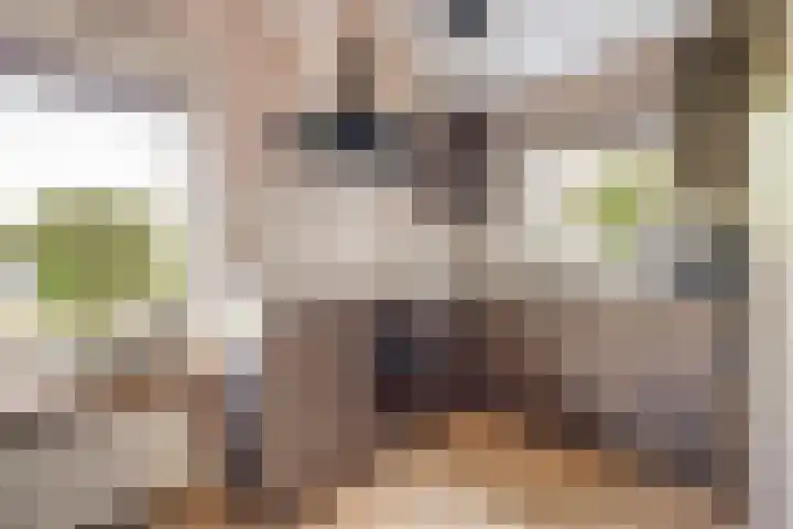 Wilgenhof 250 Papendrecht thumbnail 17