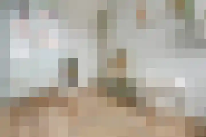 Wilgenhof 250 Papendrecht thumbnail 21