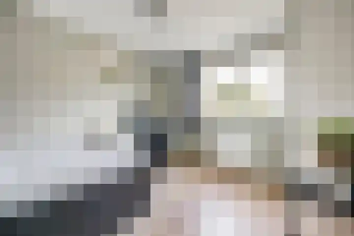 Wilgenhof 250 Papendrecht thumbnail 22