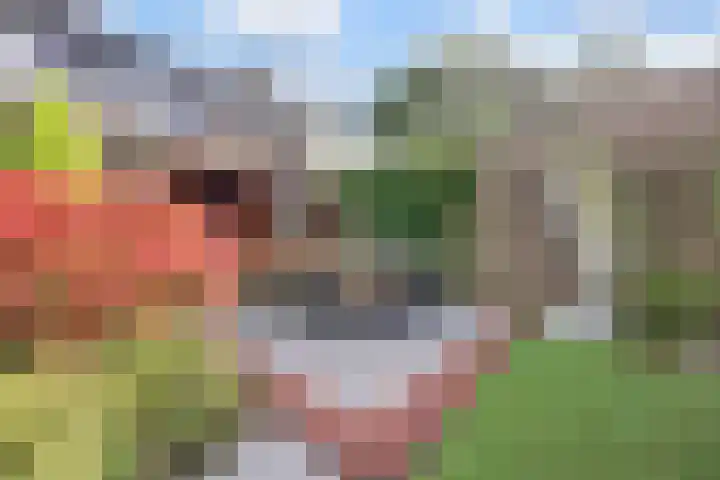 Wilgenhof 250 Papendrecht thumbnail 39