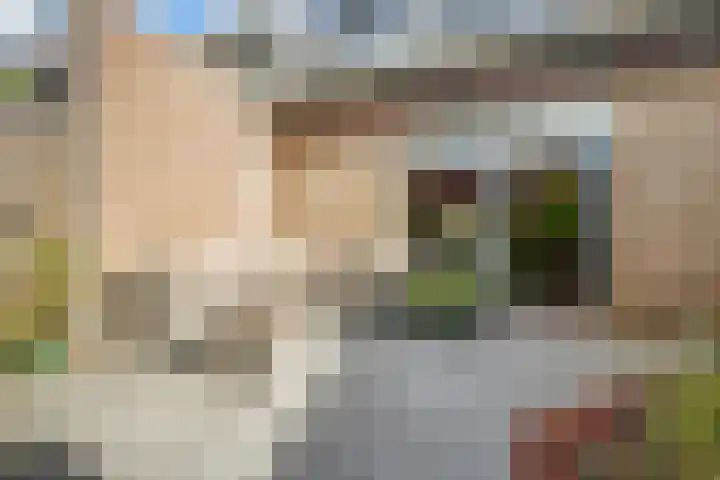 Wilgenhof 250 Papendrecht thumbnail 41