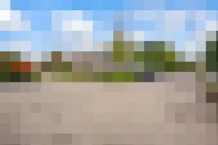 Wilgenhof 250 Papendrecht thumbnail 47