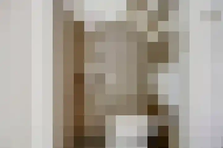 Wilgenhof 250 Papendrecht thumbnail 7