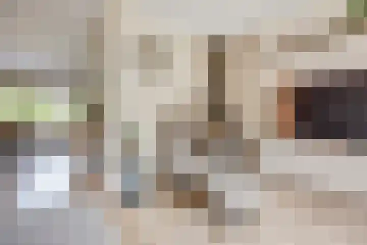Wilgenhof 250 Papendrecht thumbnail 9