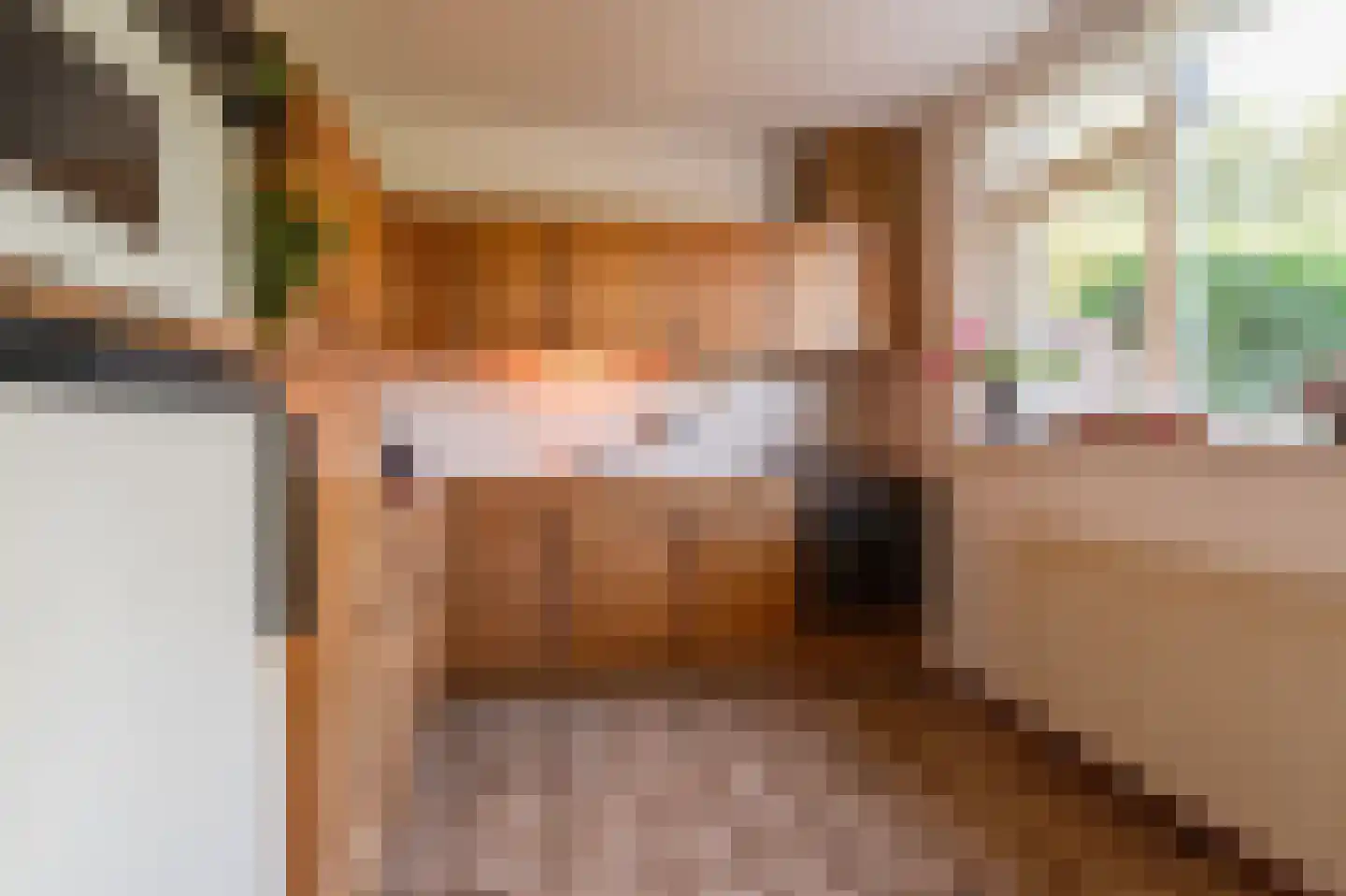 Wilgenhof 29 Giessen thumbnail 16