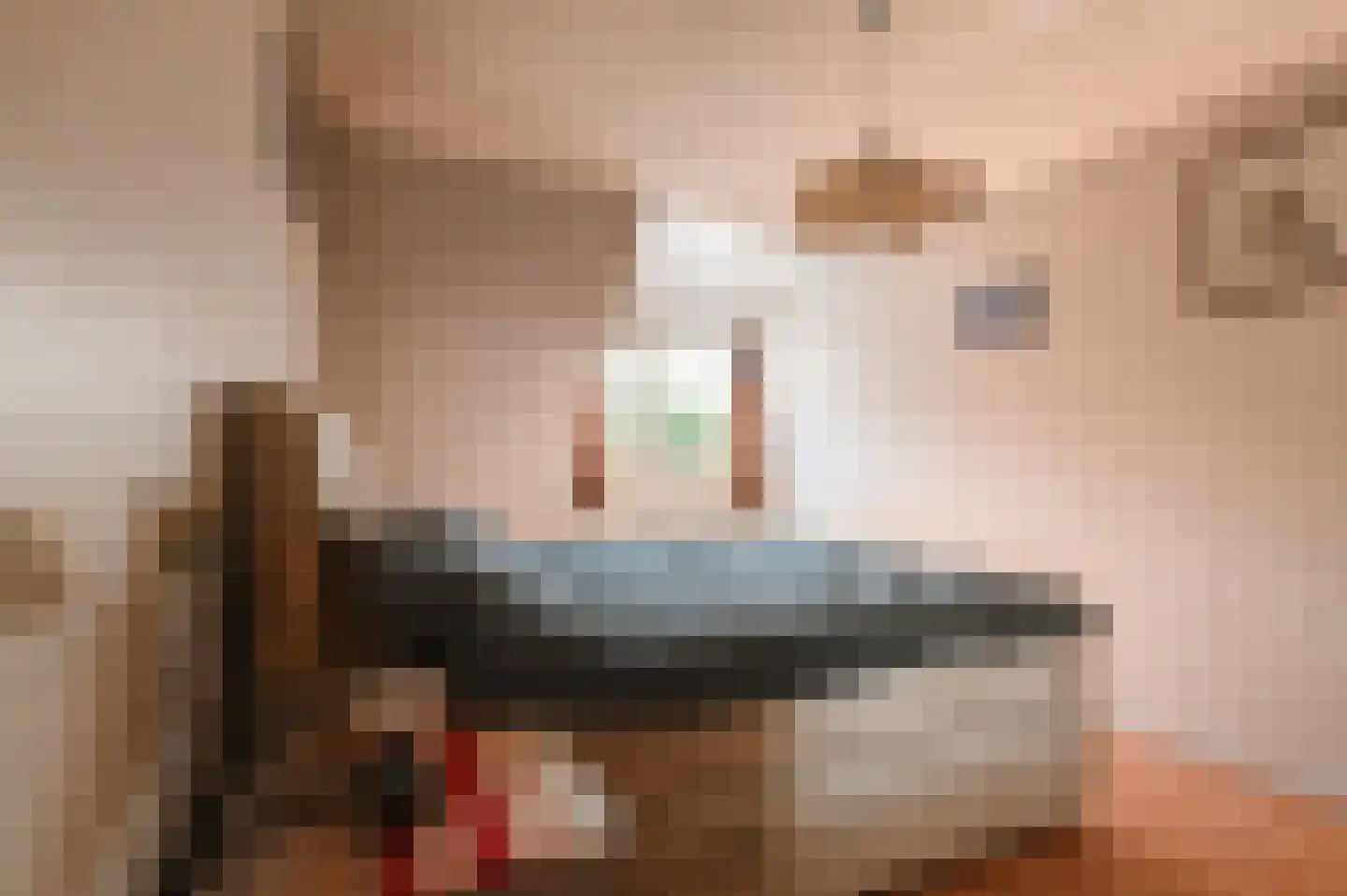 Wilgenhof 29 Giessen thumbnail 20