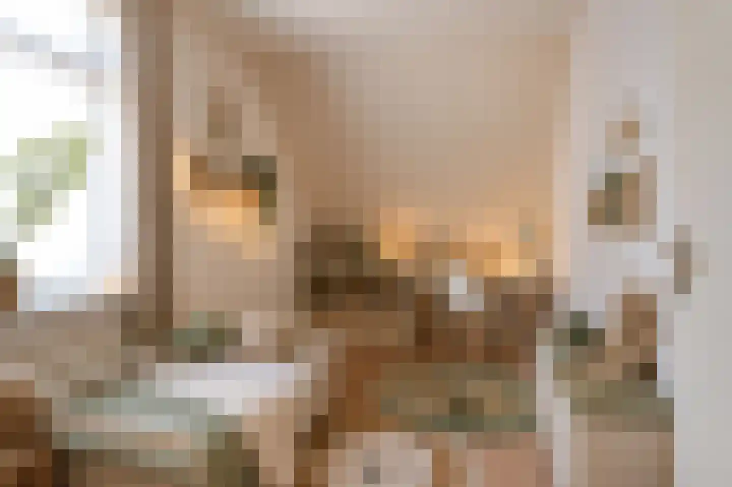 Wilgenhof 29 Giessen thumbnail 24
