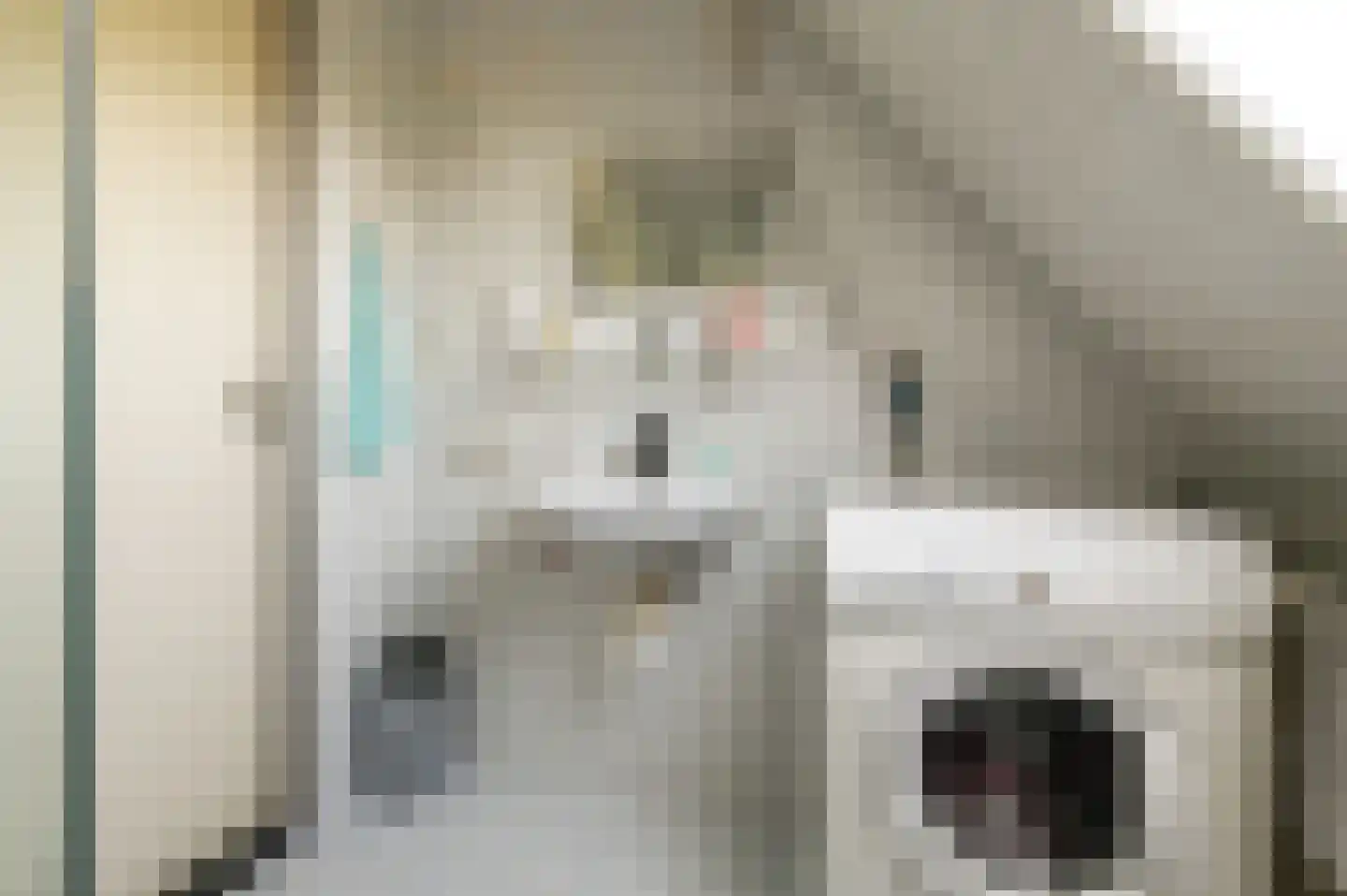 Wilgenhof 29 Giessen thumbnail 27
