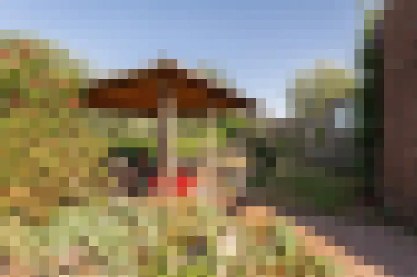 Wilgenhof 29 Giessen thumbnail 34