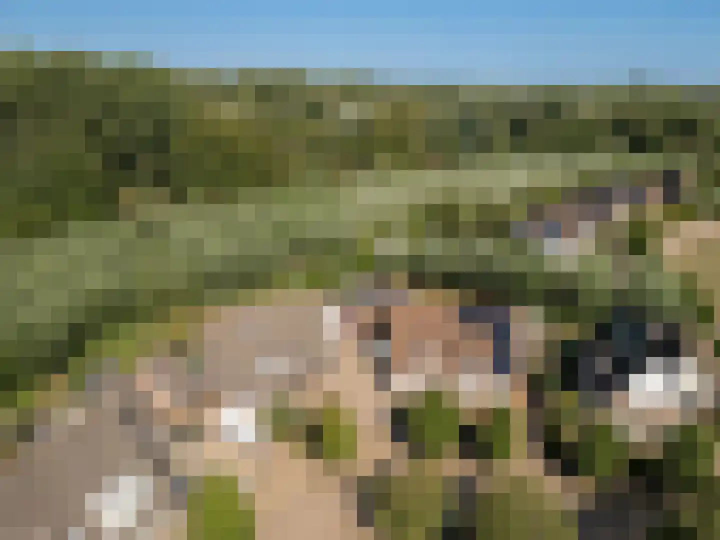Wilgenhof 29 Giessen thumbnail 36