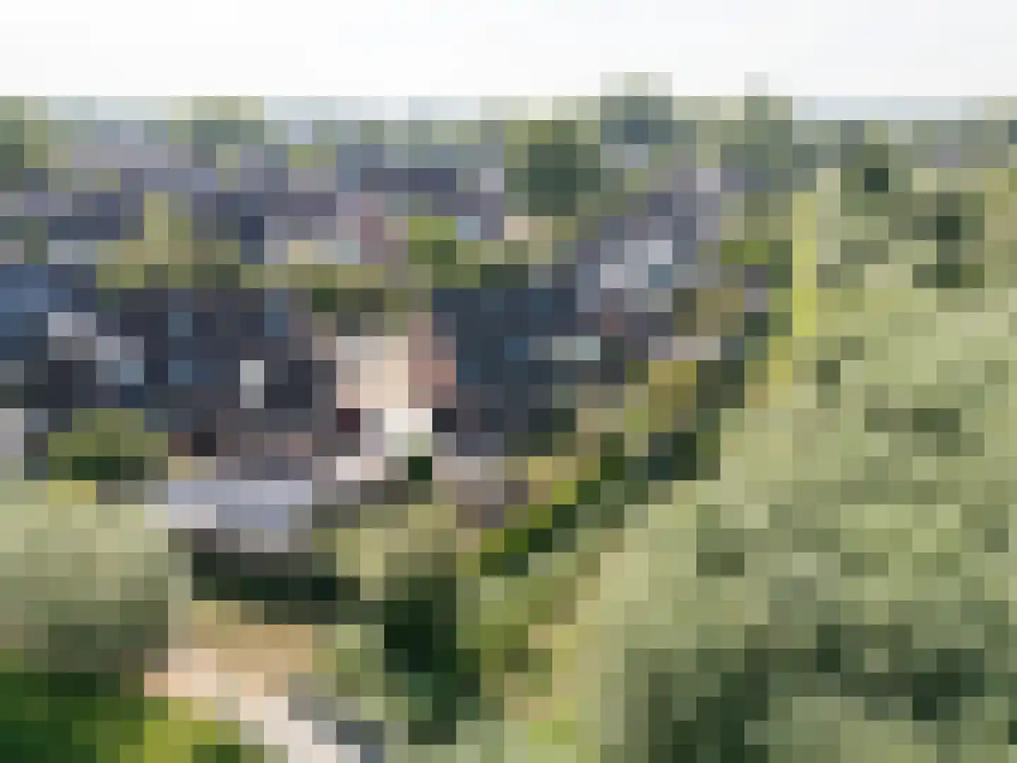 Wilgenhof 29 Giessen thumbnail 37
