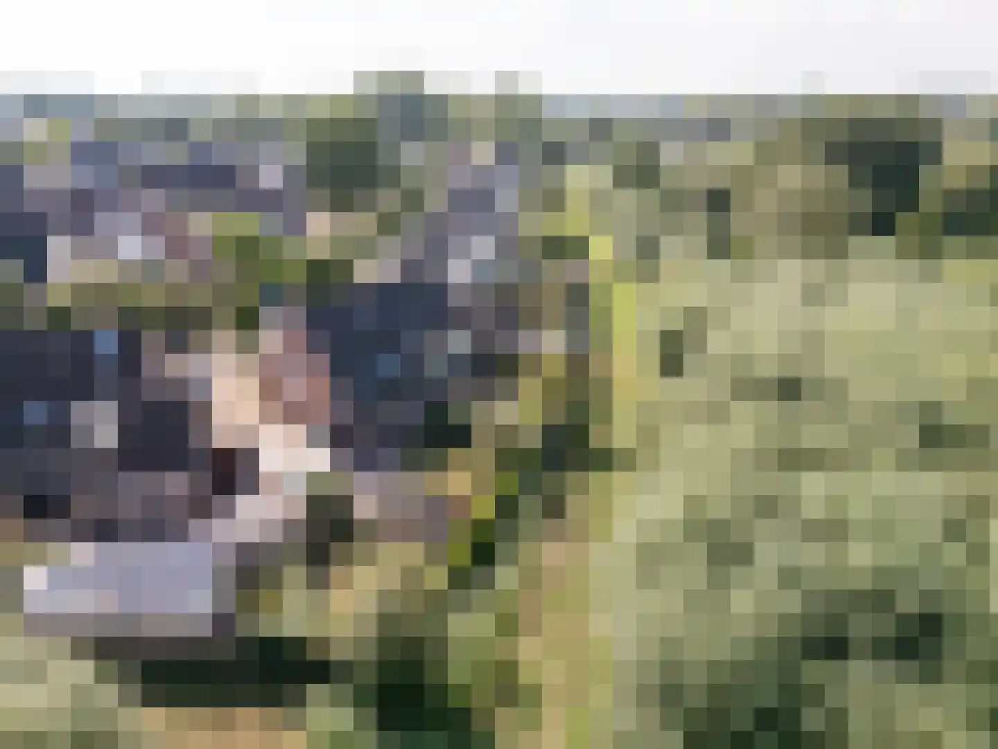 Wilgenhof 29 Giessen thumbnail 38