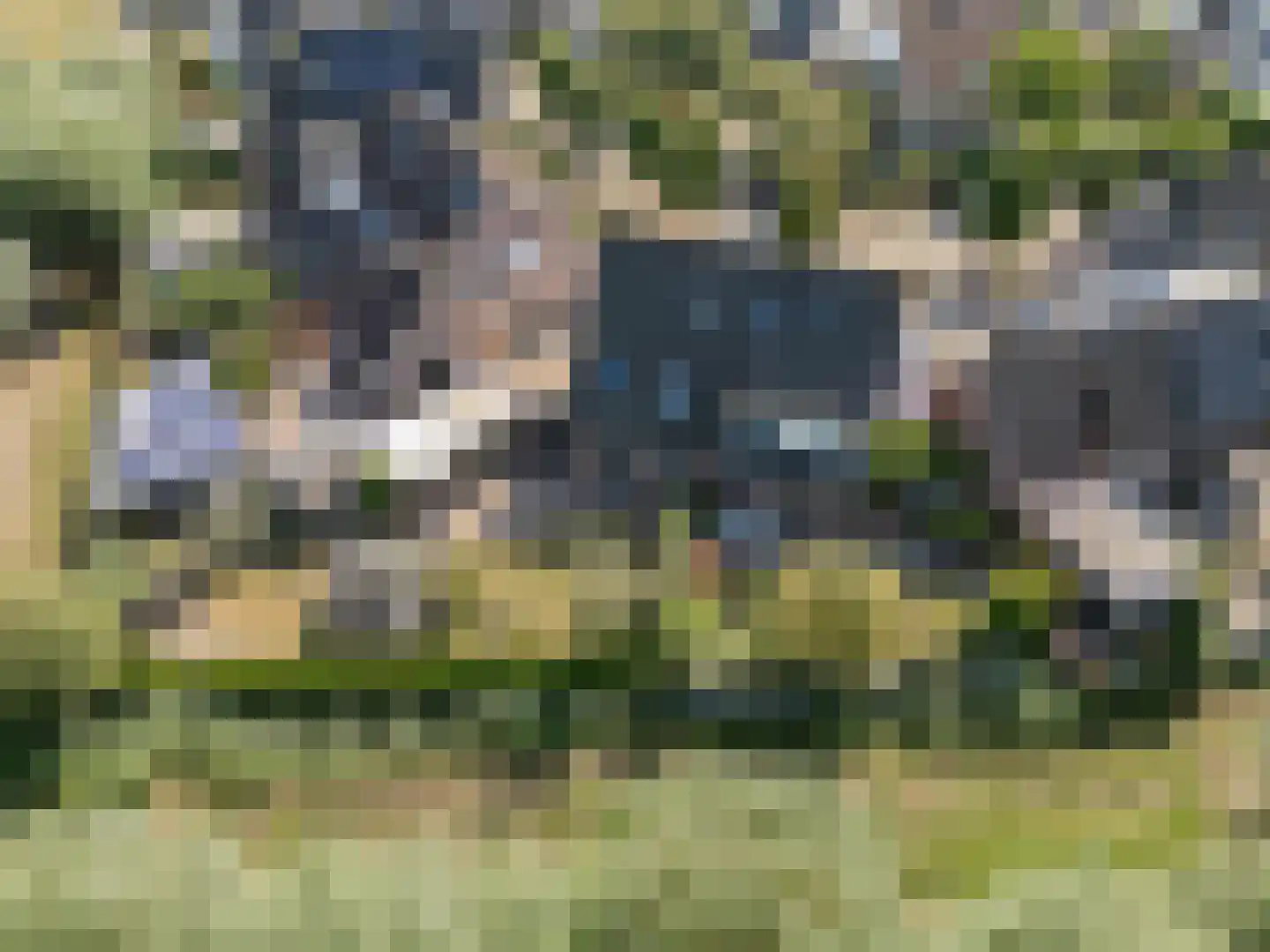 Wilgenhof 29 Giessen thumbnail 39