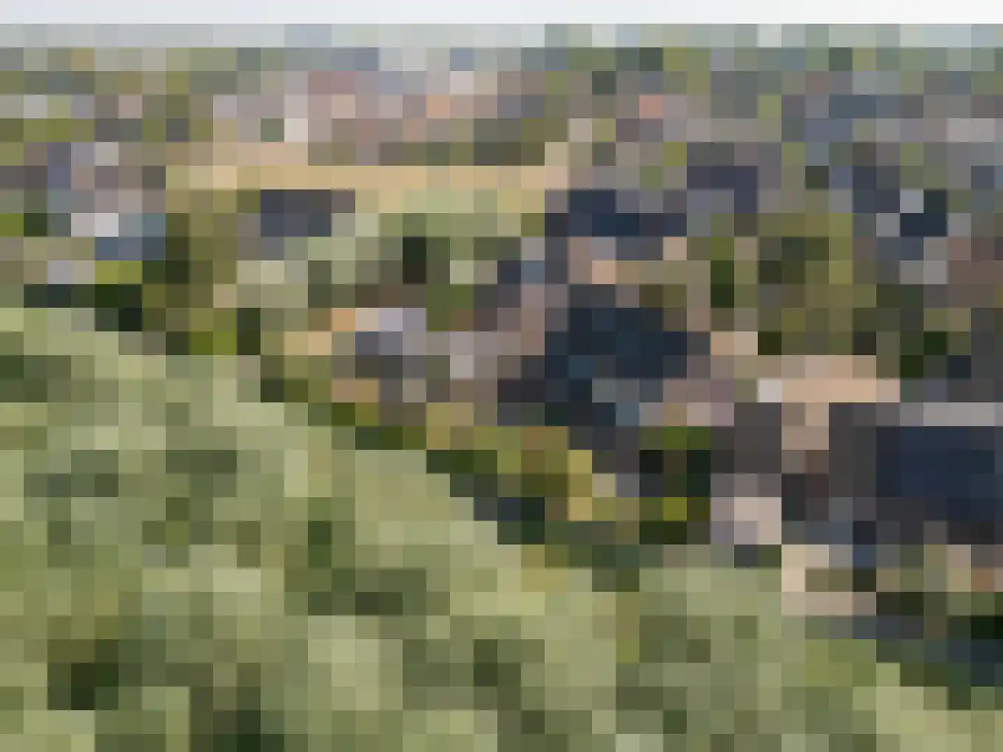 Wilgenhof 29 Giessen thumbnail 40