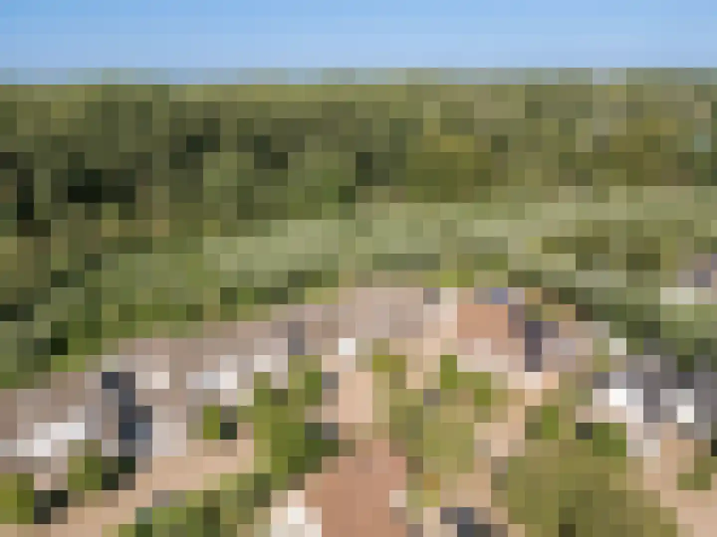 Wilgenhof 29 Giessen thumbnail 42