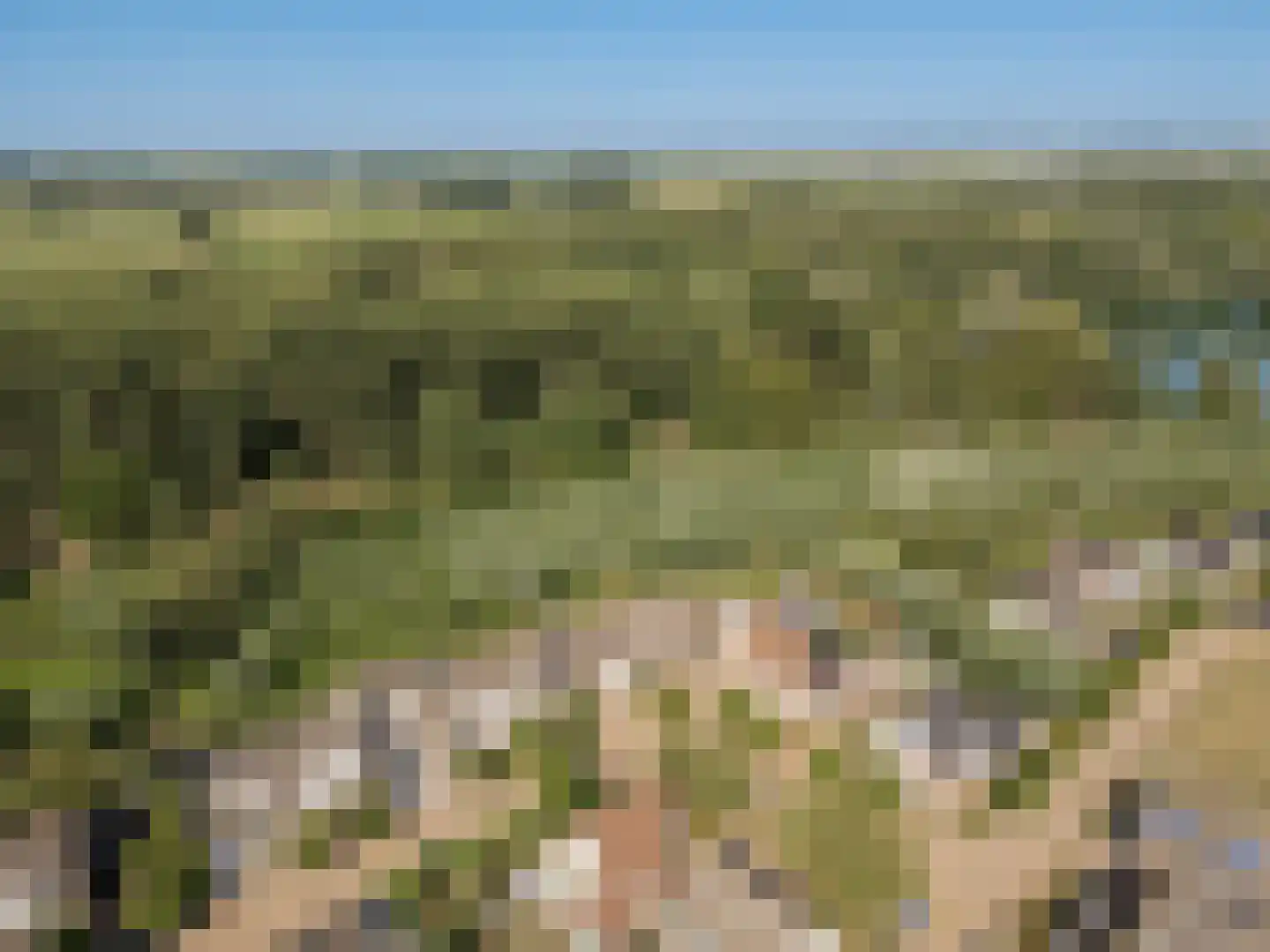 Wilgenhof 29 Giessen thumbnail 43