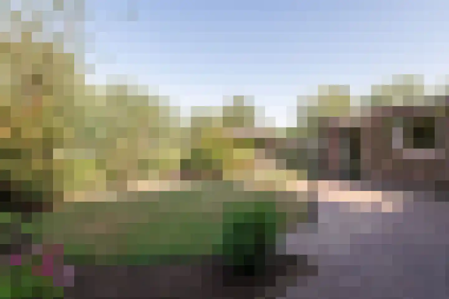 Wilgenhof 29 Giessen thumbnail 5