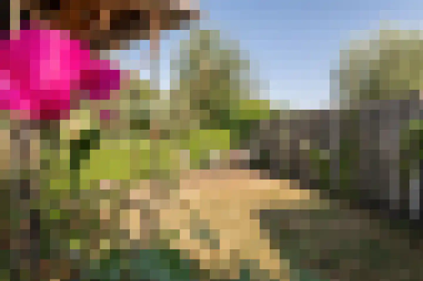 Wilgenhof 29 Giessen thumbnail 8