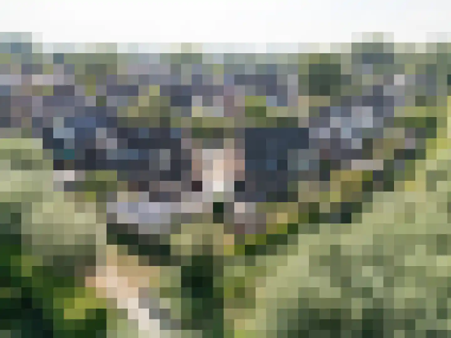 Wilgenhof 29 Giessen thumbnail 9
