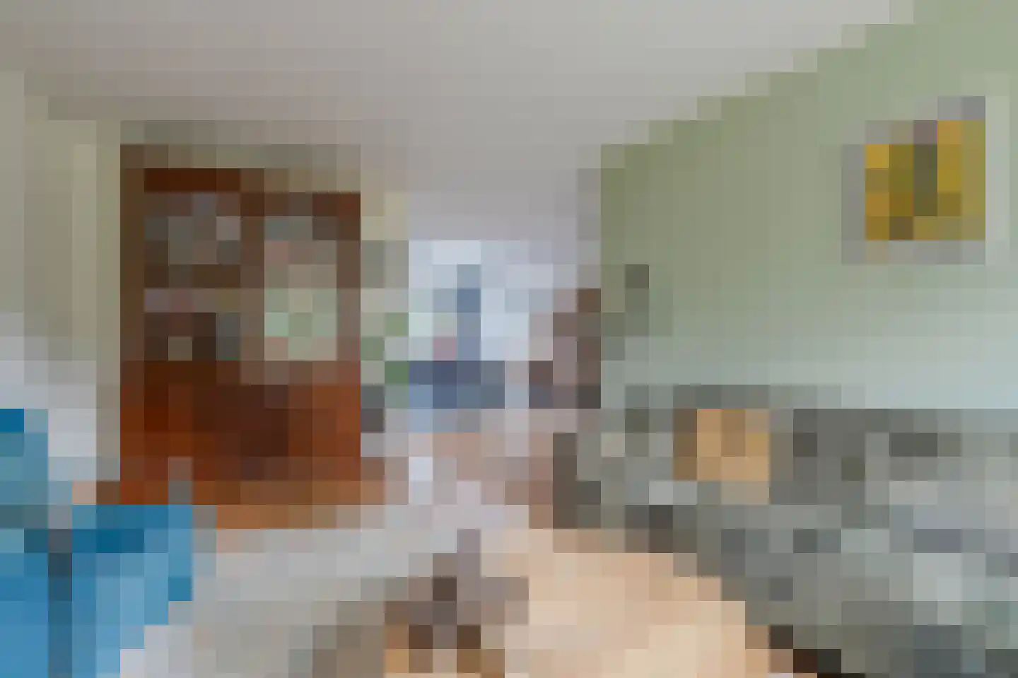 Wilgenhof 3 Maasbree thumbnail 10