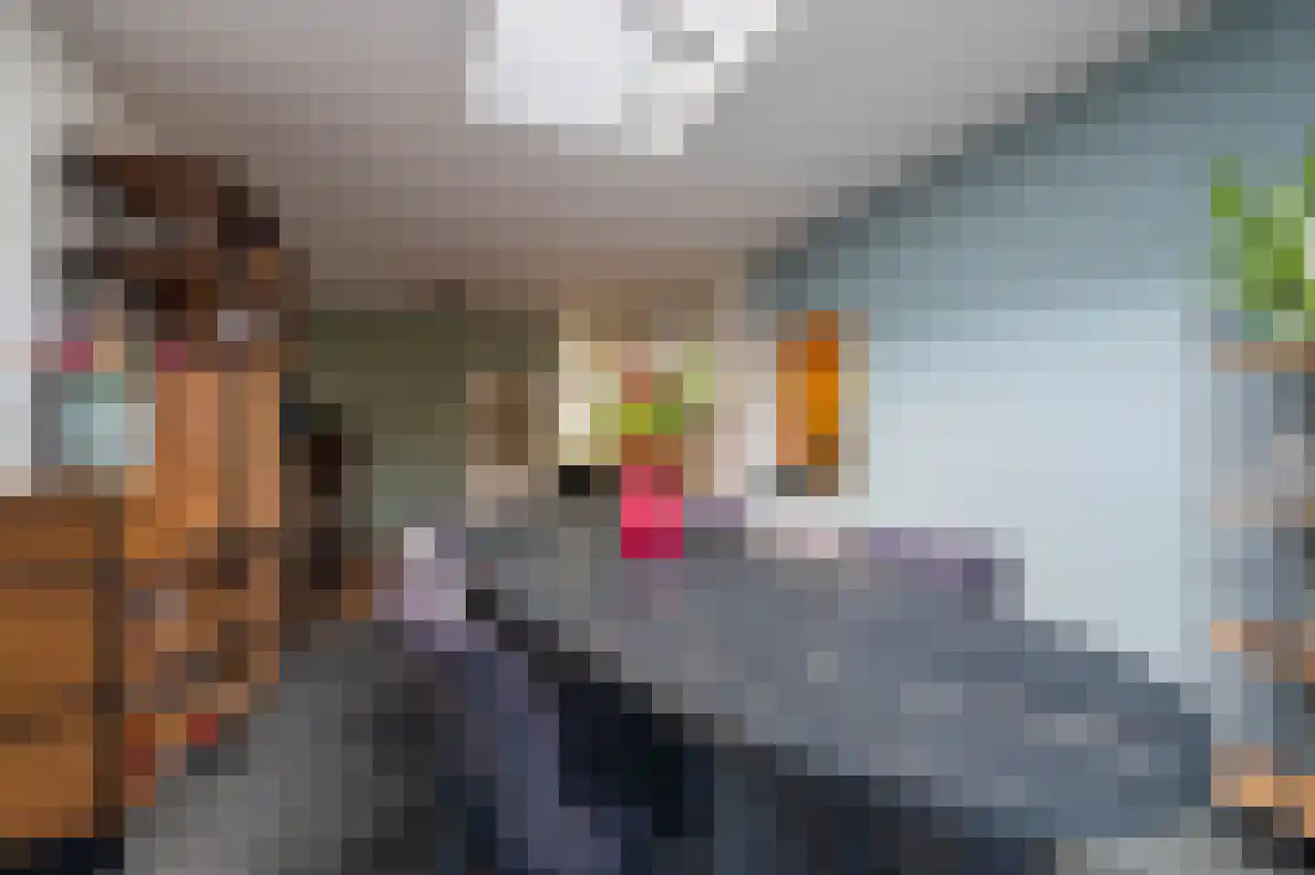 Wilgenhof 3 Maasbree thumbnail 18