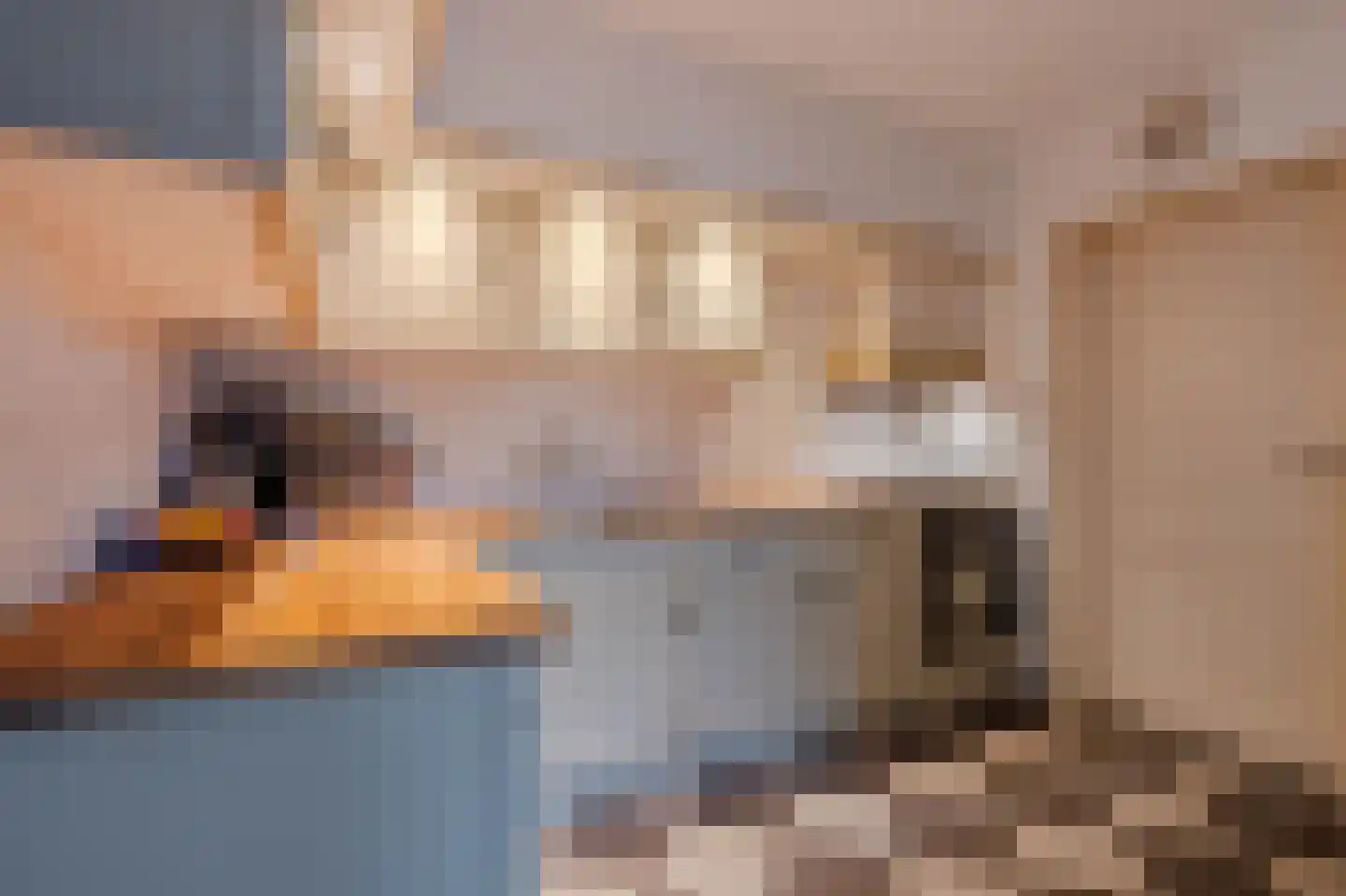 Wilgenhof 3 Maasbree thumbnail 19