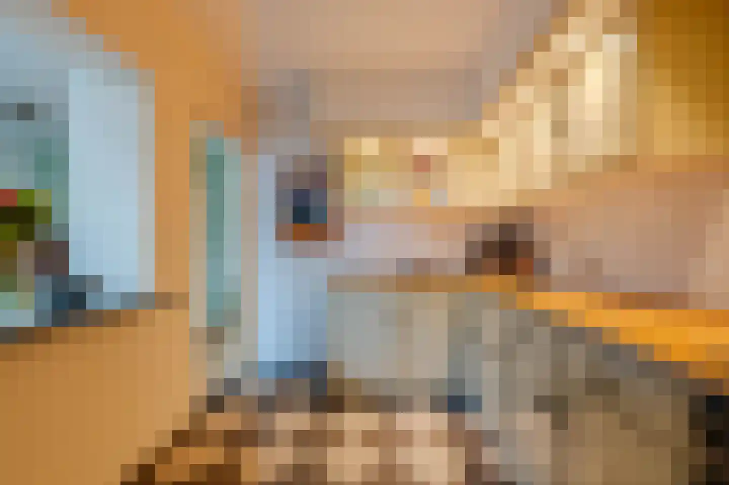 Wilgenhof 3 Maasbree thumbnail 21