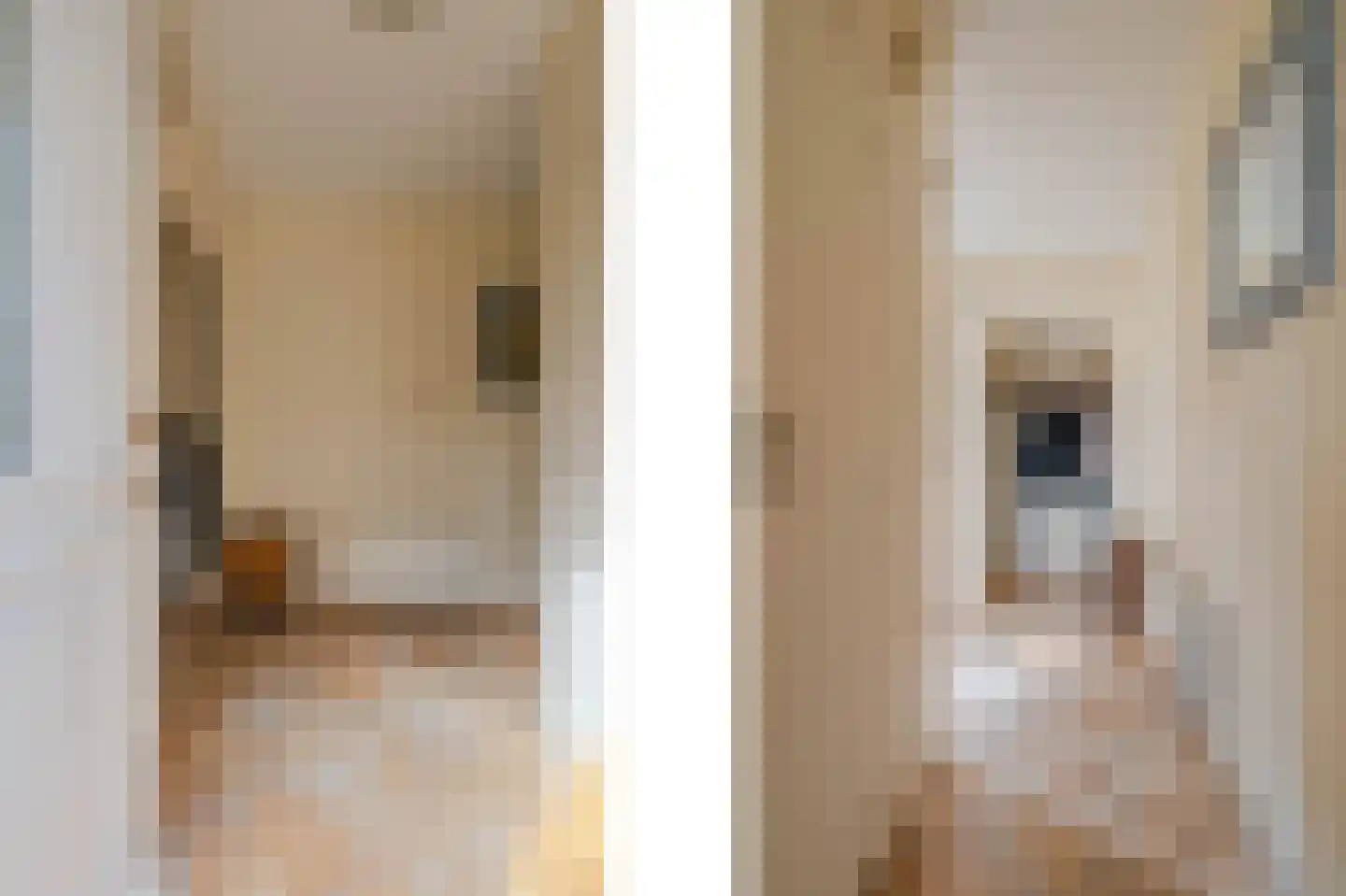 Wilgenhof 3 Maasbree thumbnail 23