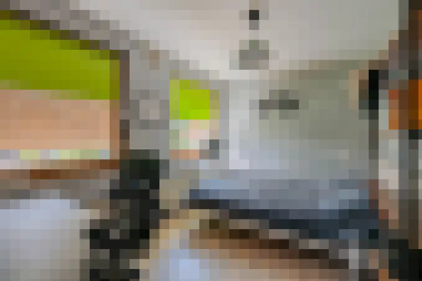 Wilgenhof 3 Maasbree thumbnail 26