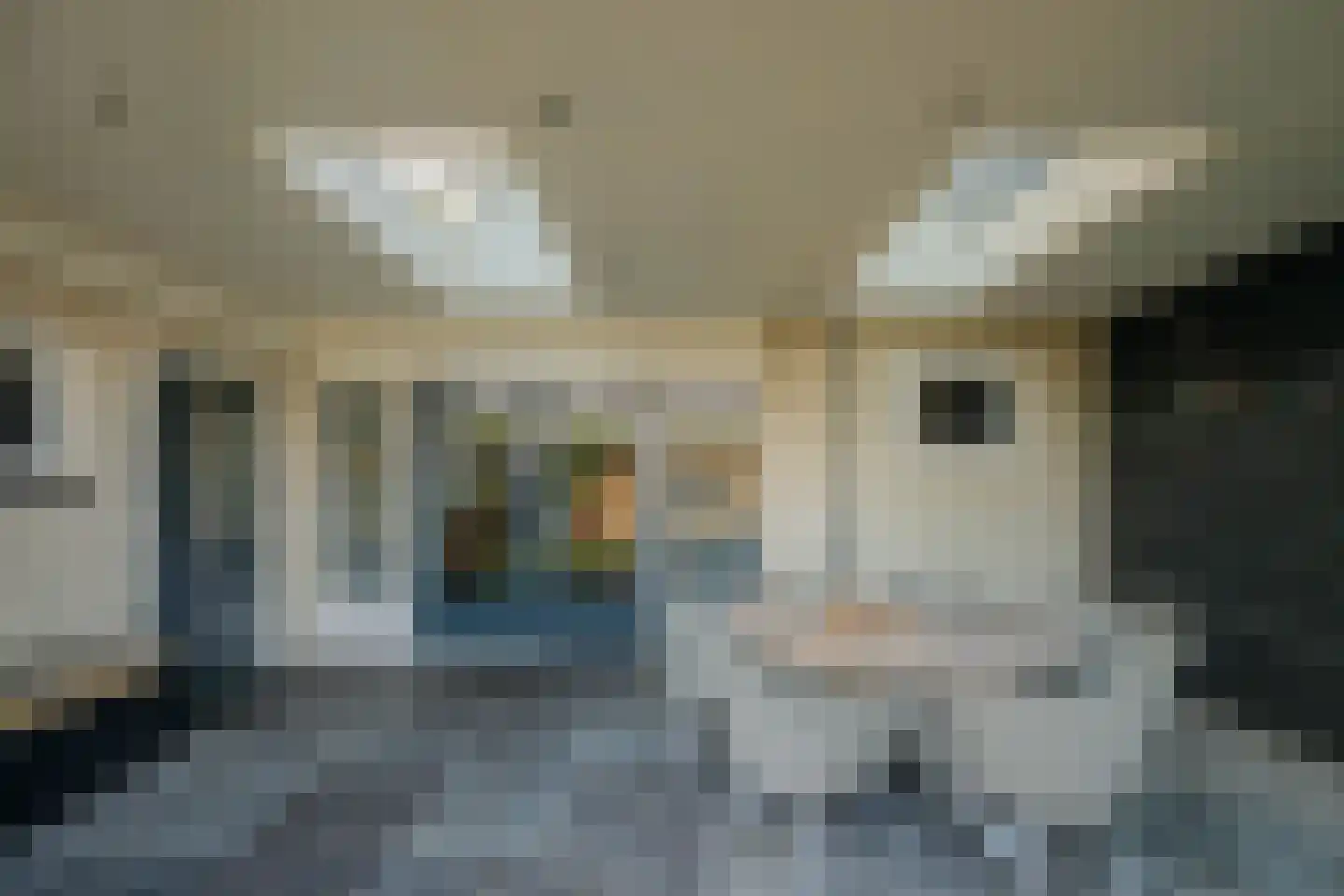 Wilgenhof 3 Maasbree thumbnail 33
