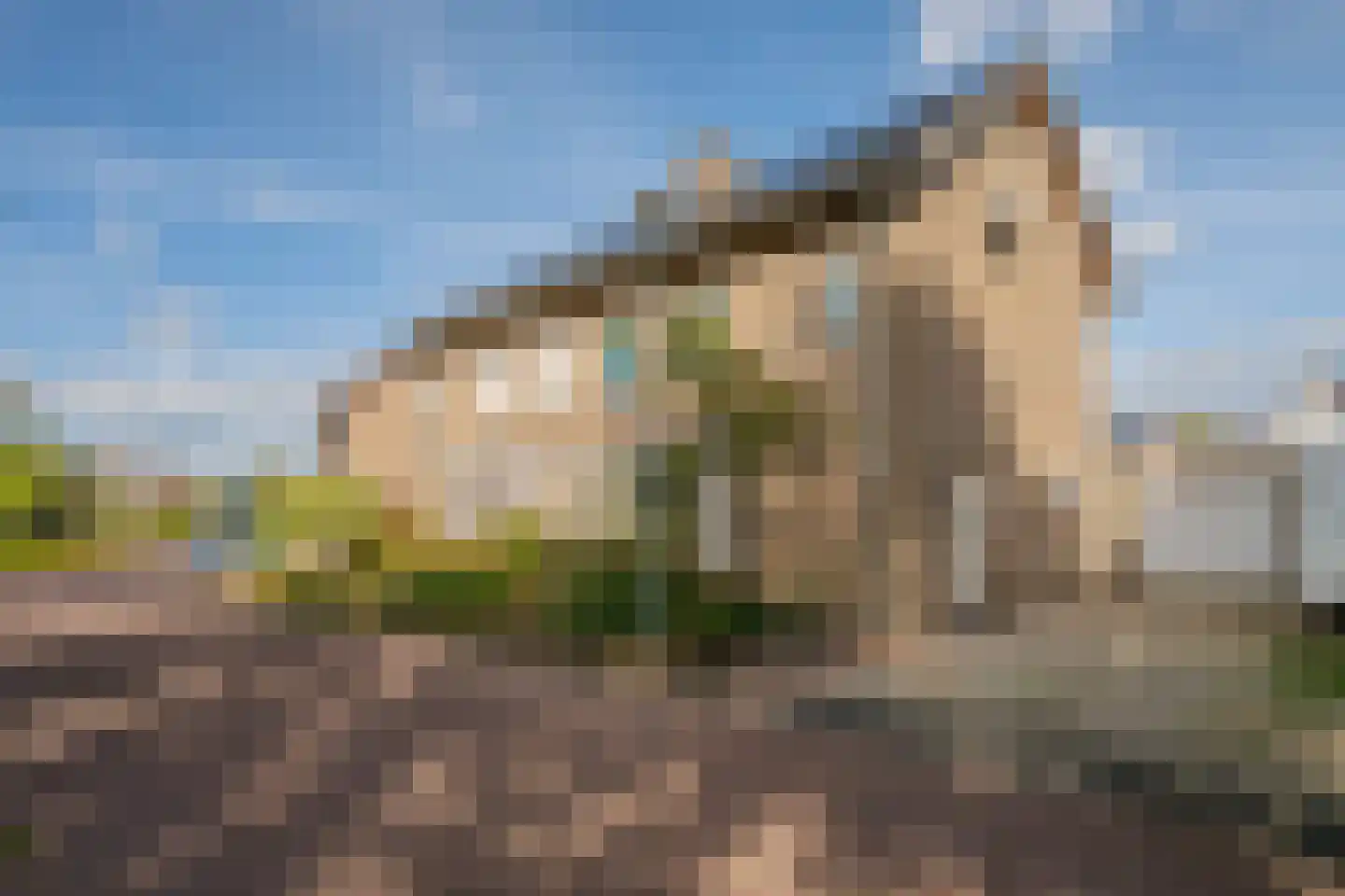 Wilgenhof 3 Maasbree thumbnail 42