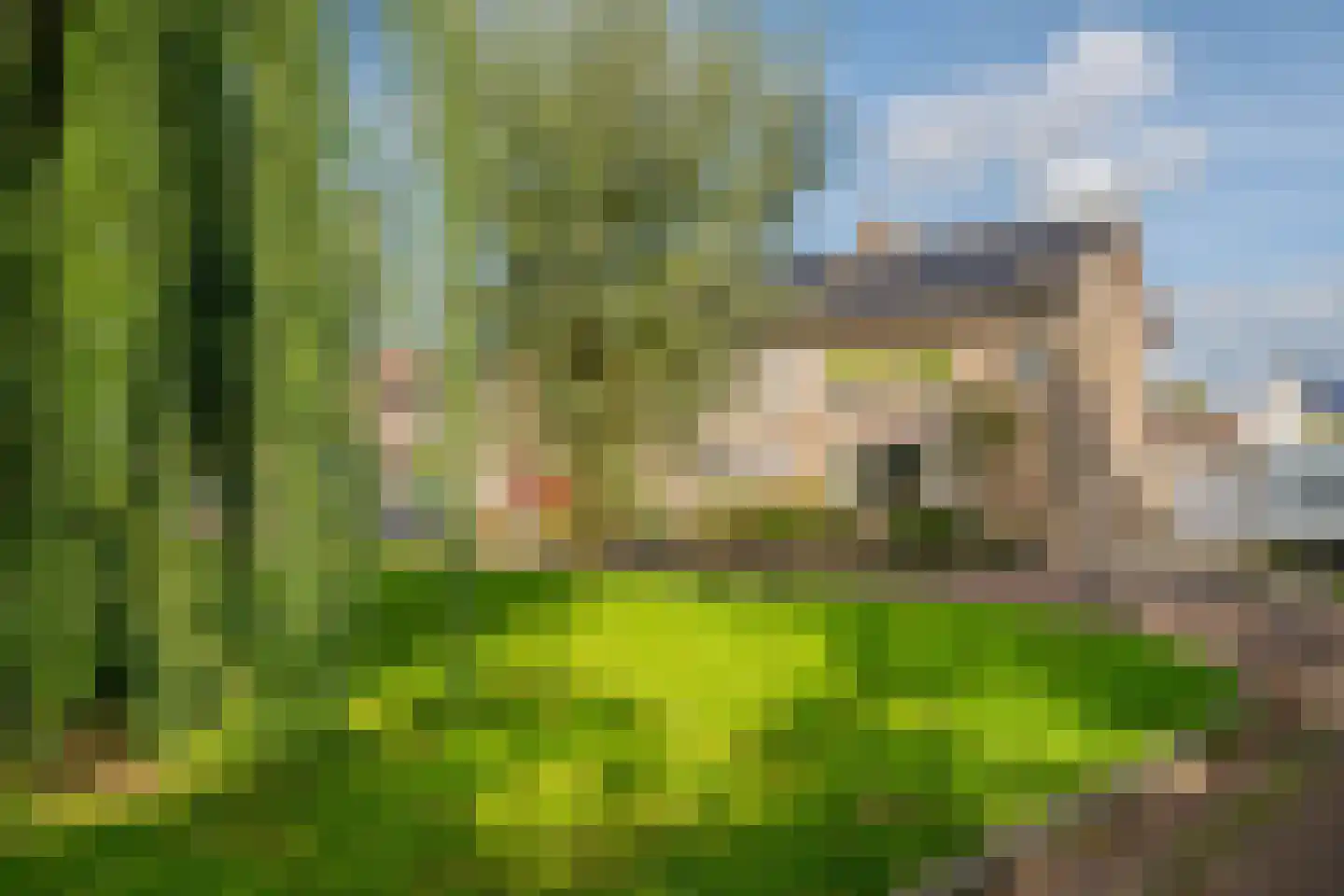Wilgenhof 3 Maasbree thumbnail 43