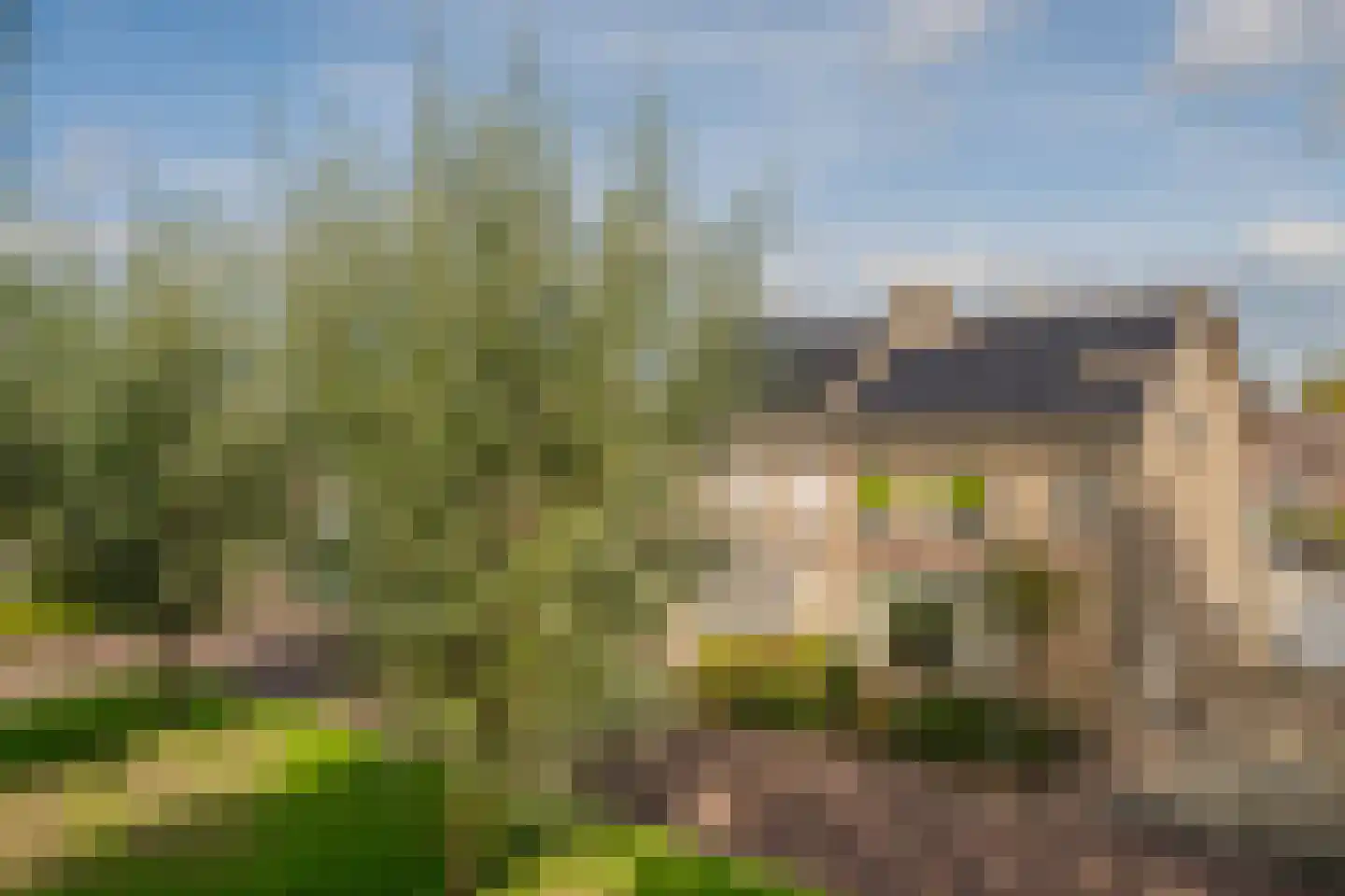 Wilgenhof 3 Maasbree thumbnail 46