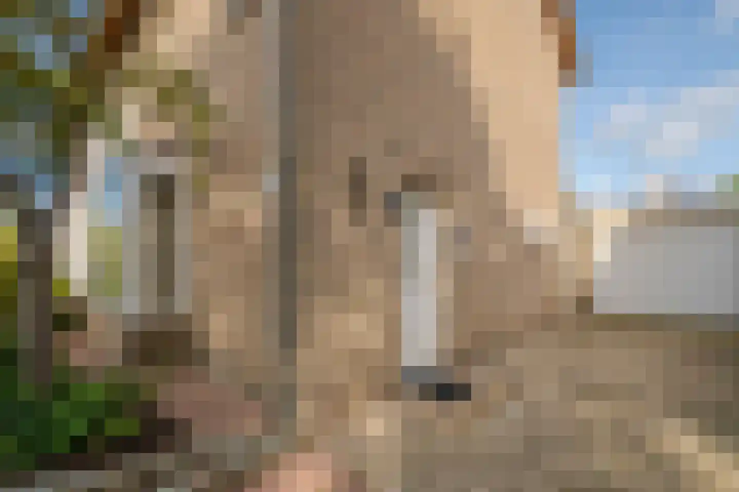Wilgenhof 3 Maasbree thumbnail 5