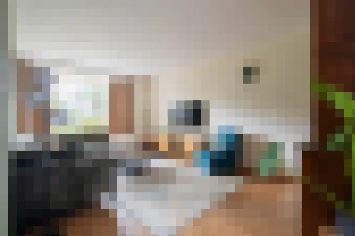 Wilgenhof 3 Maasbree thumbnail 7