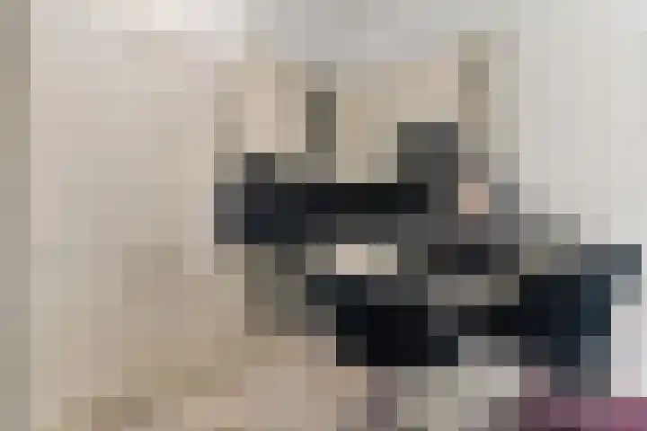 Wilgenhof 33 Papendrecht thumbnail 13