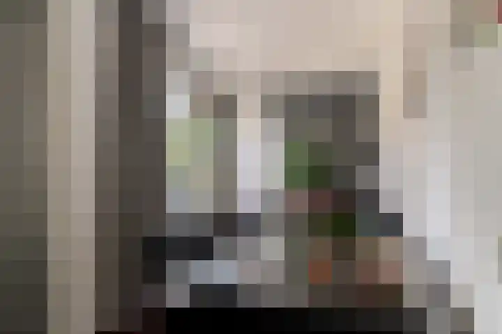 Wilgenhof 33 Papendrecht thumbnail 14