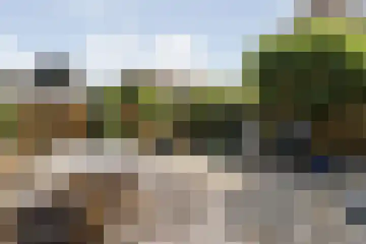 Wilgenhof 33 Papendrecht thumbnail 23
