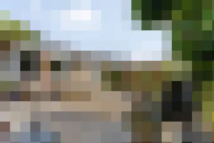 Wilgenhof 33 Papendrecht thumbnail 24