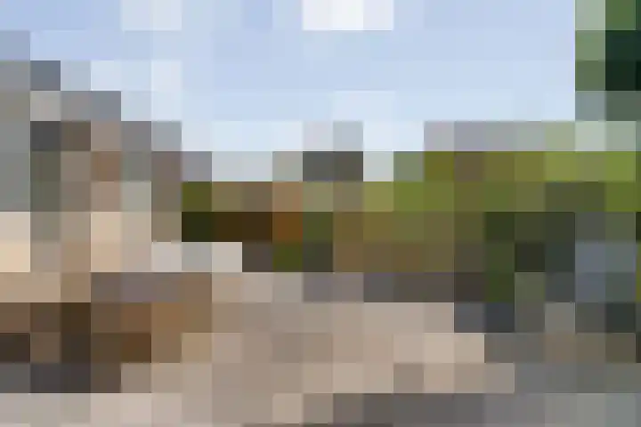 Wilgenhof 33 Papendrecht thumbnail 25