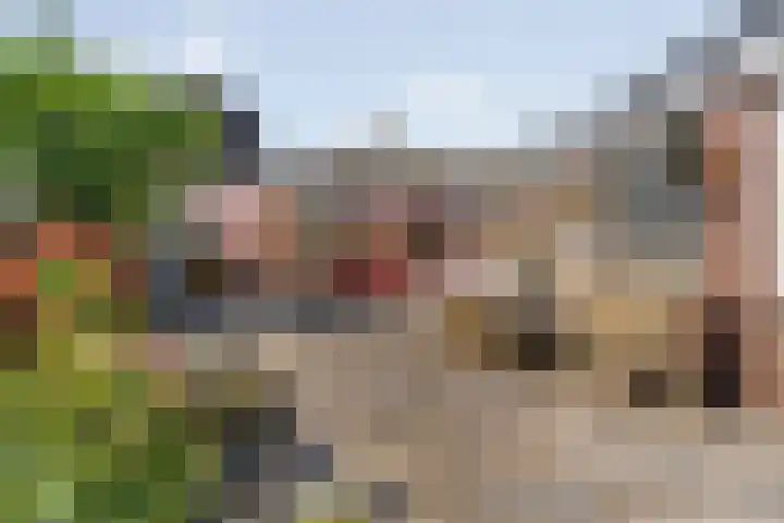 Wilgenhof 33 Papendrecht thumbnail 27
