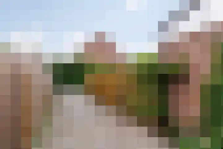 Wilgenhof 33 Papendrecht thumbnail 28