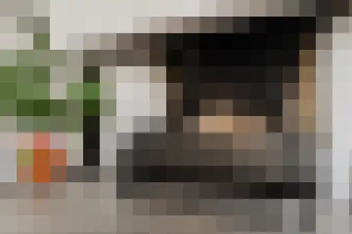 Wilgenhof 33 Papendrecht thumbnail 9